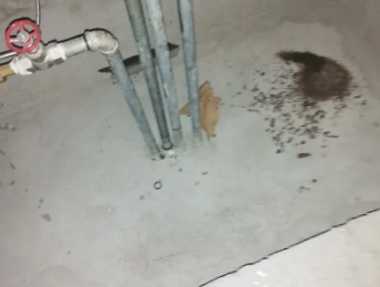 靖宇卫生间测漏水价格明细